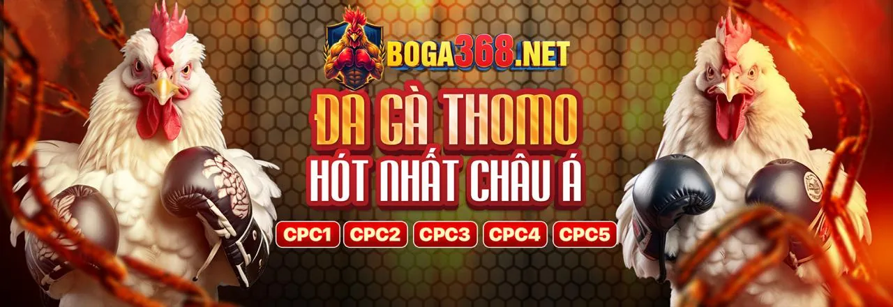 Giải thích về GDPR và tầm quan trọng của nó tại kingbet86