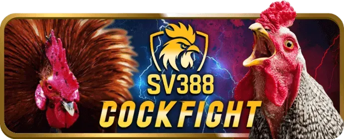 Các chương trình khuyến mãi kingbet86