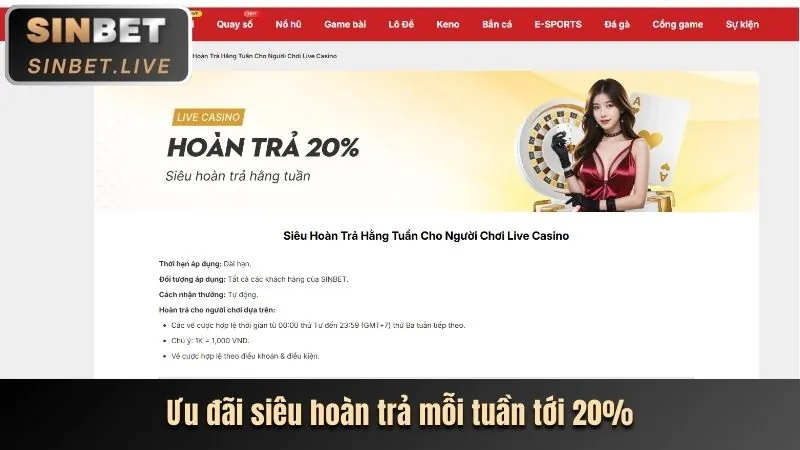 Cá cược thể thao kingbet86